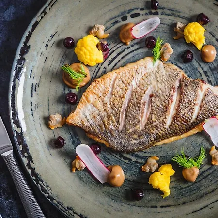 酒店 湖泊区斯基道酒店