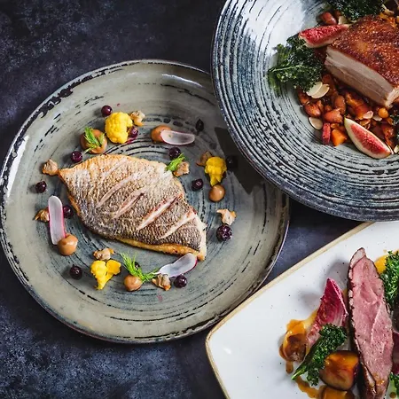 スキッドオー ホテル 4*